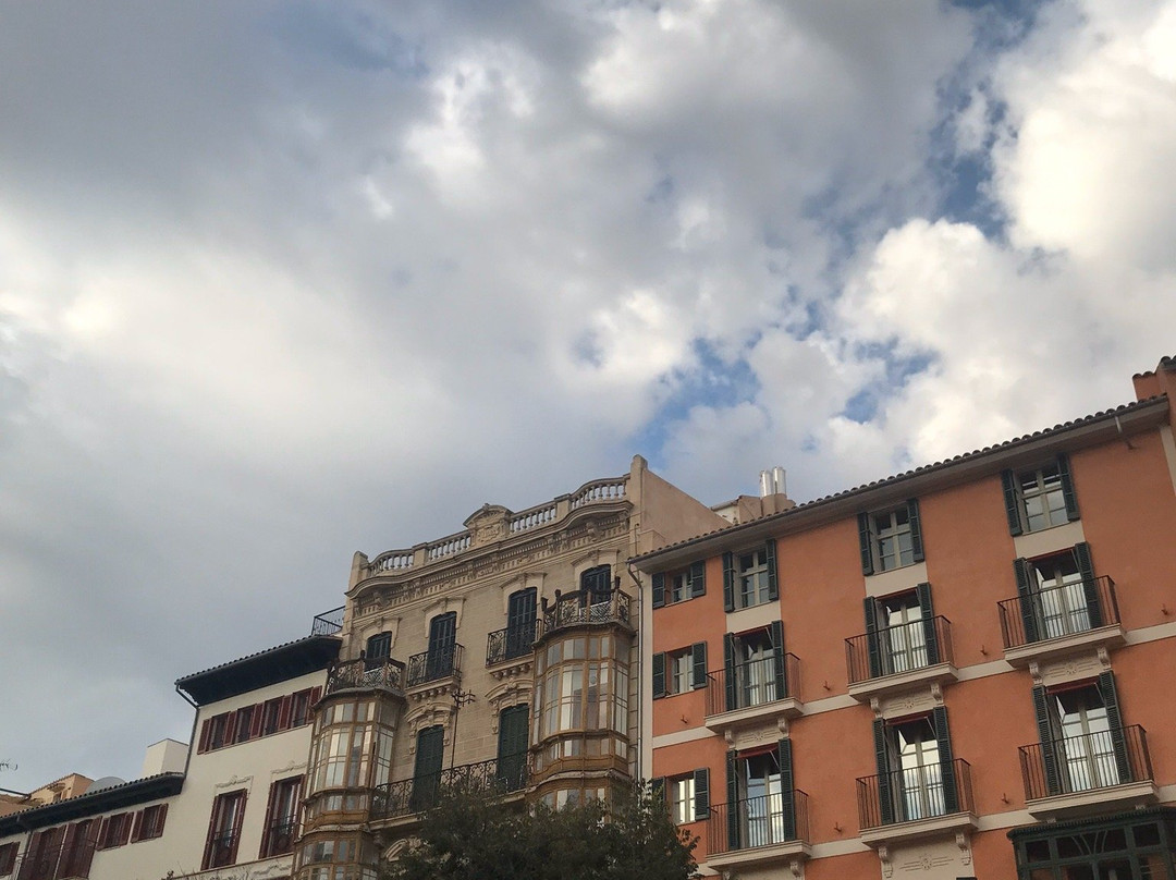 Plaça de Cort景点图片