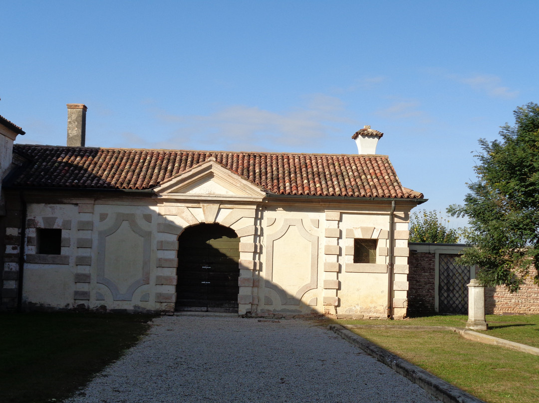 Museo di Villa Lattes景点图片