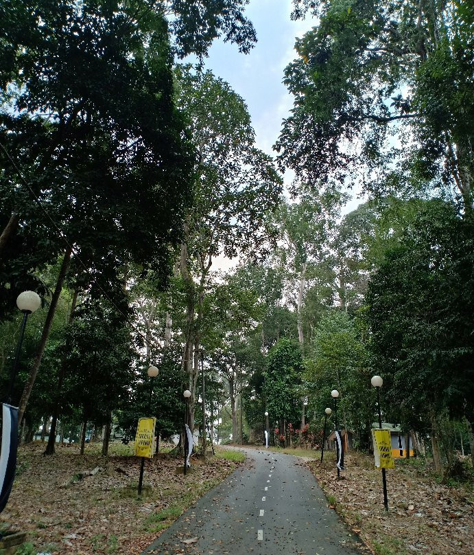 Bera Lake-直凉必去景点