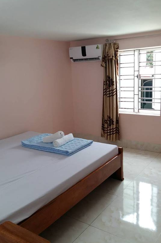 Cat Ba Sweet Potato主图