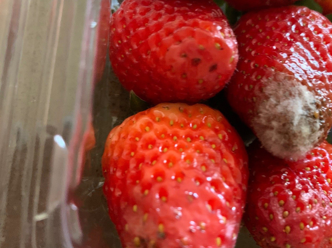 Camden Fruit Barn-Elderslie必去景点