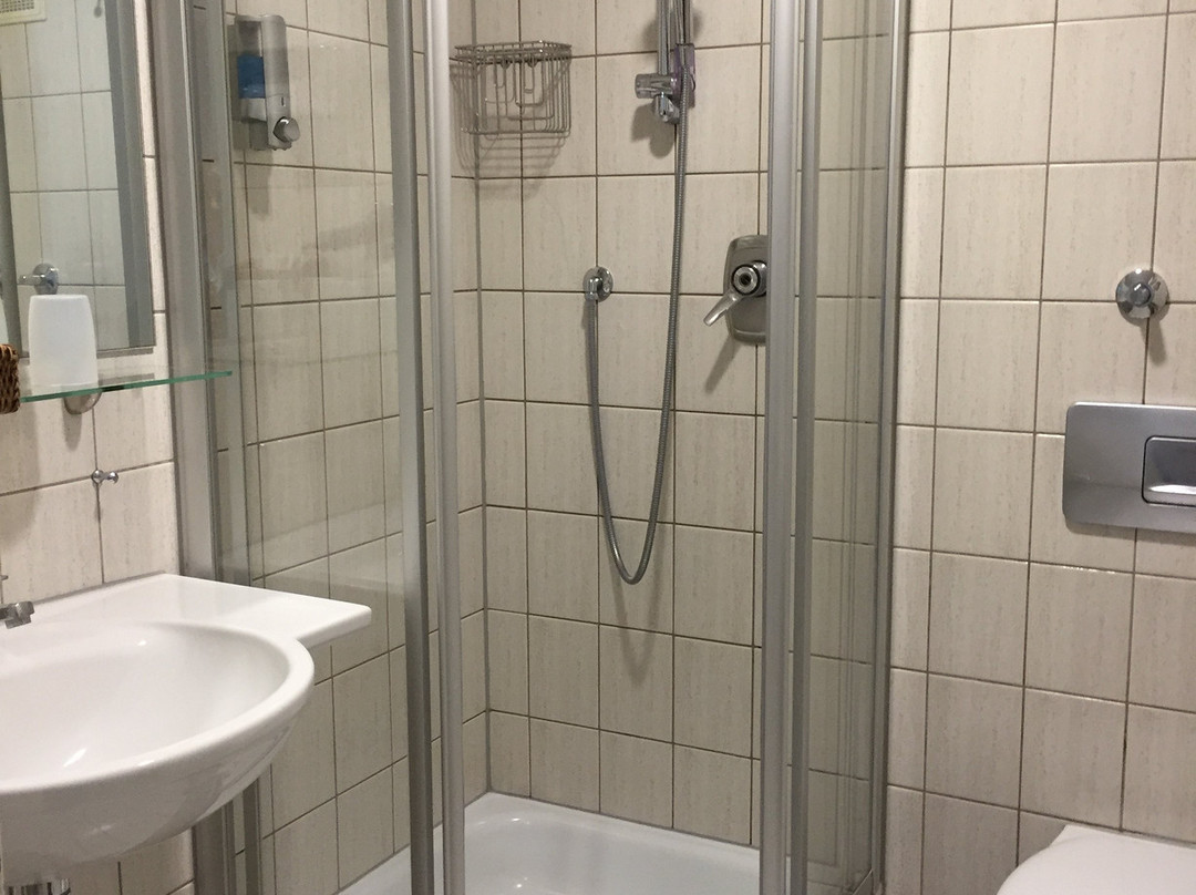 Hotel Deutscher Hof主图