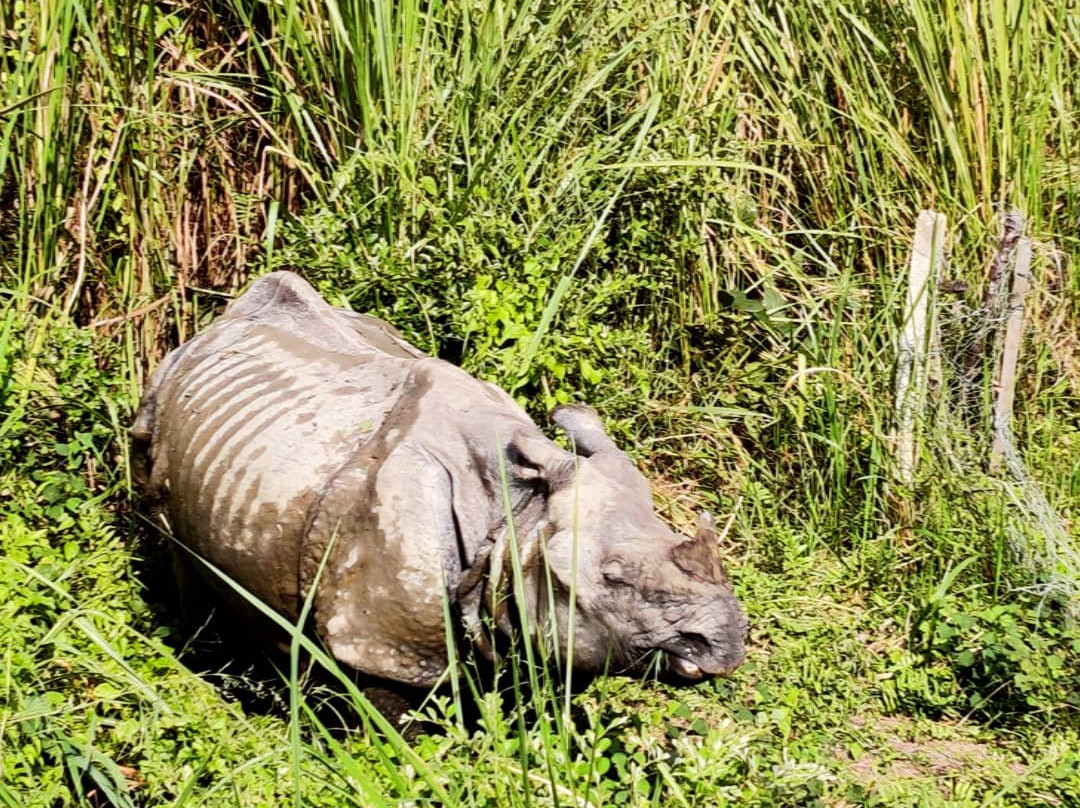 Fishtail Tours & Travels-加德满都必去景点