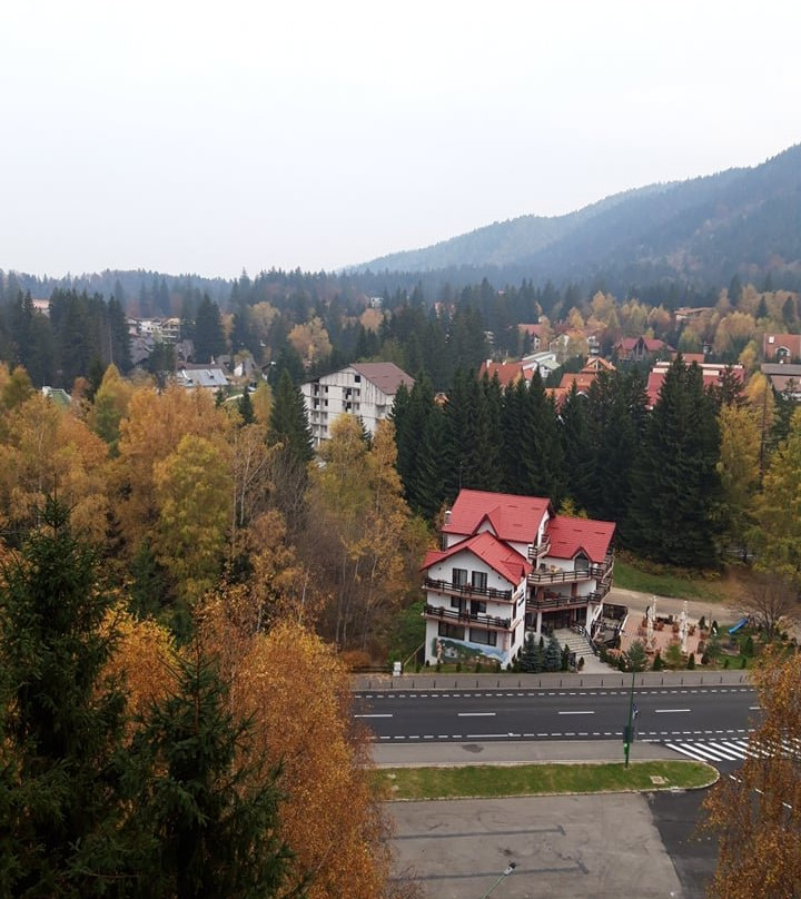 Alpin Resort Hotel主图