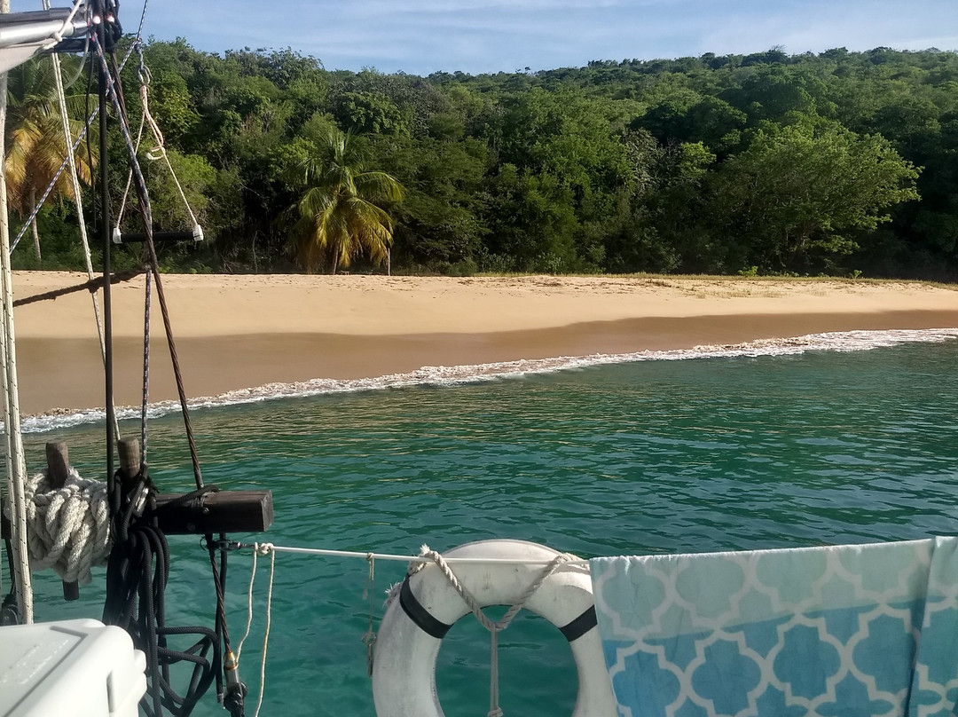 Corsair Sailing Charters & Experiences Grenada景点图片