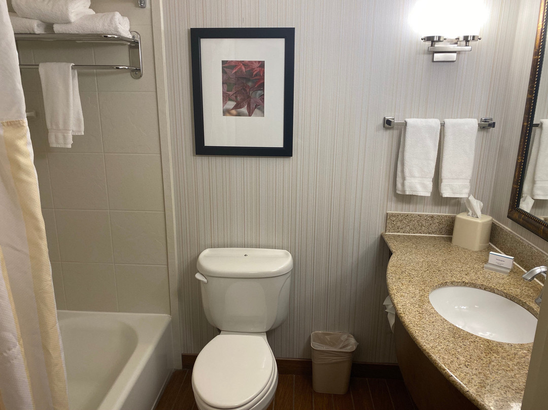 Hilton Garden Inn Minneapolis/eden Prairie主图
