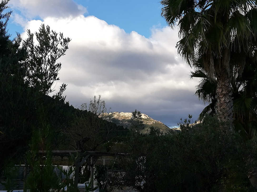 Bed & Breakfast Buena Idea主图