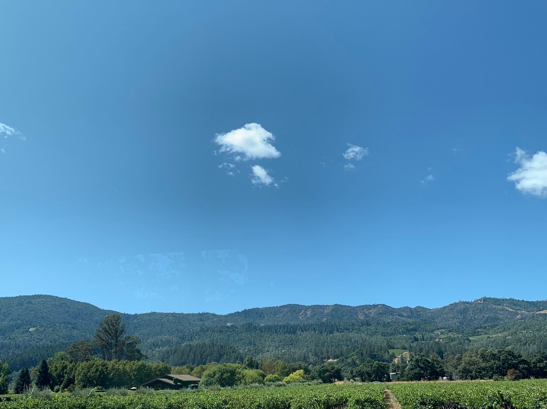 Pestoni Family Estate Winery景点图片