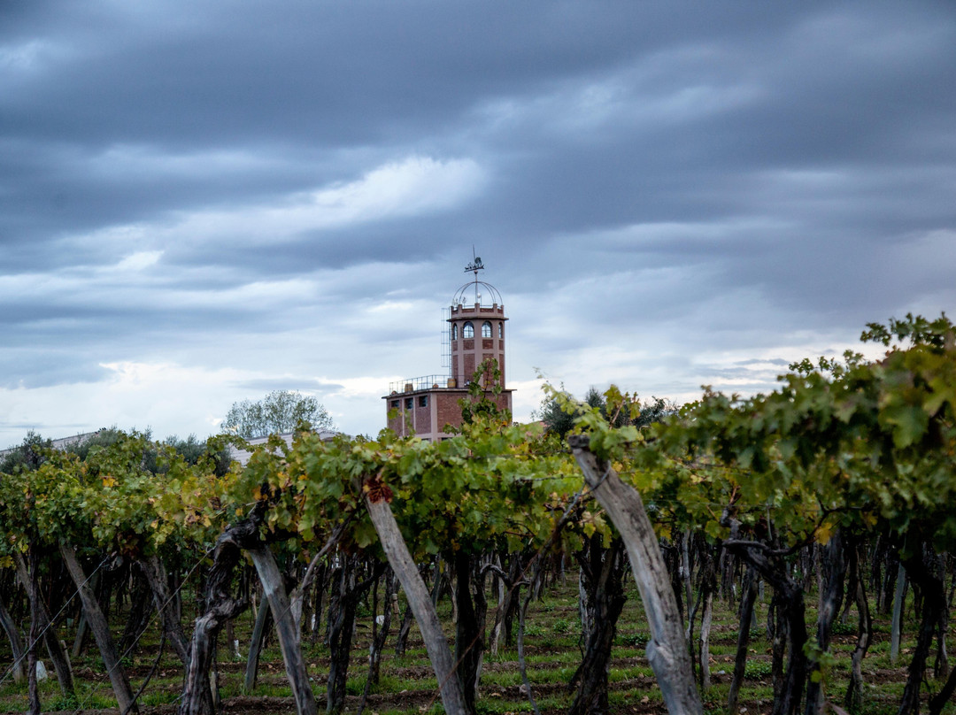 Bodega Kaiken-路冉得库约必去景点