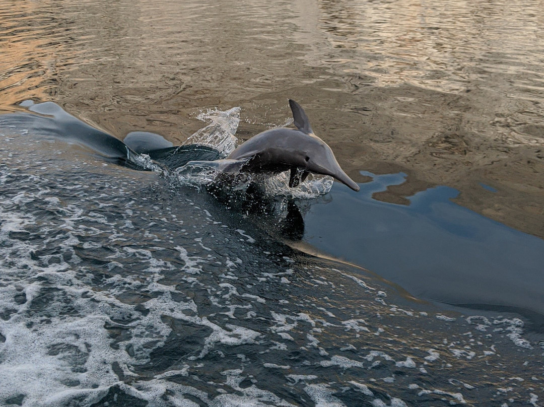 Khasab Musandam Dhow Cruise & Camping-海塞卜必去景点
