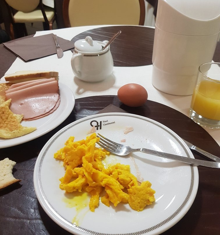 Continental Hotel Brescia主图