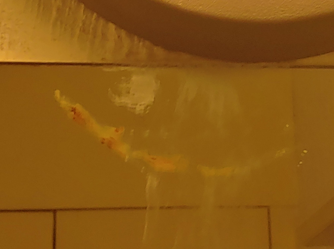 Hotel Master Club主图