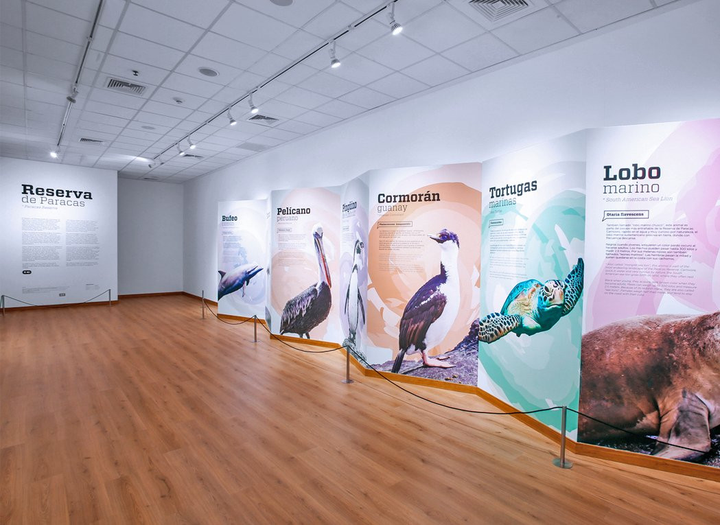 Culture Pisco-皮斯科必去景点