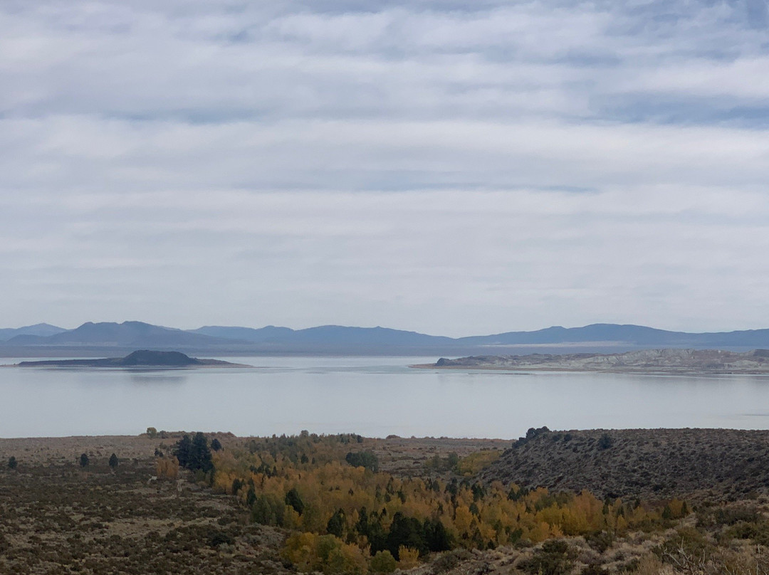 Mono Basin Scenic Area Visitor Center-利韦宁必去景点