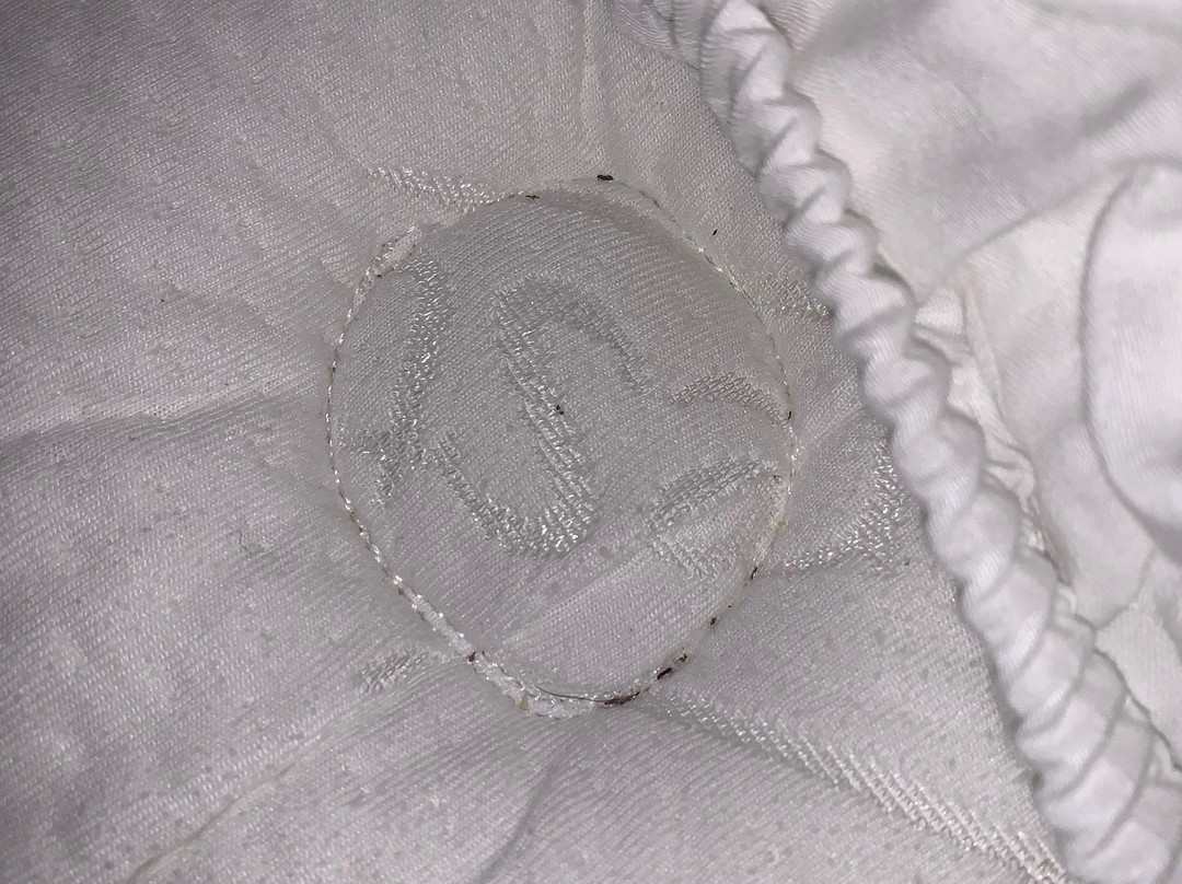 La Quinta Inn & Suites by Wyndham McDonough主图