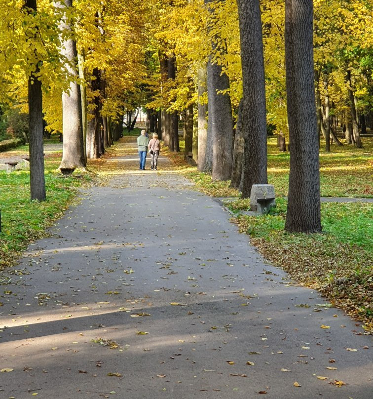 Park Zdrojowy景点图片