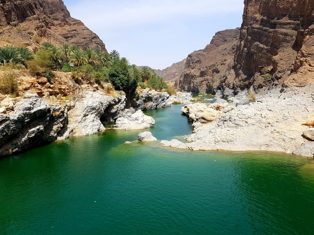 Wadi Al Arbeieen景点图片