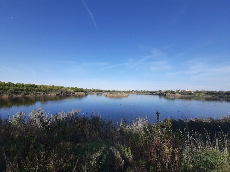 Oasi Parco dei Laghetti景点图片
