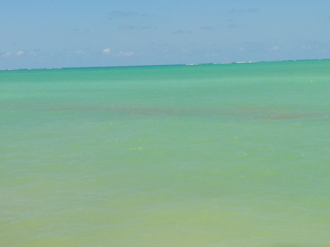 Piscinas Naturais de Barra Grande-Barra Grande必去景点