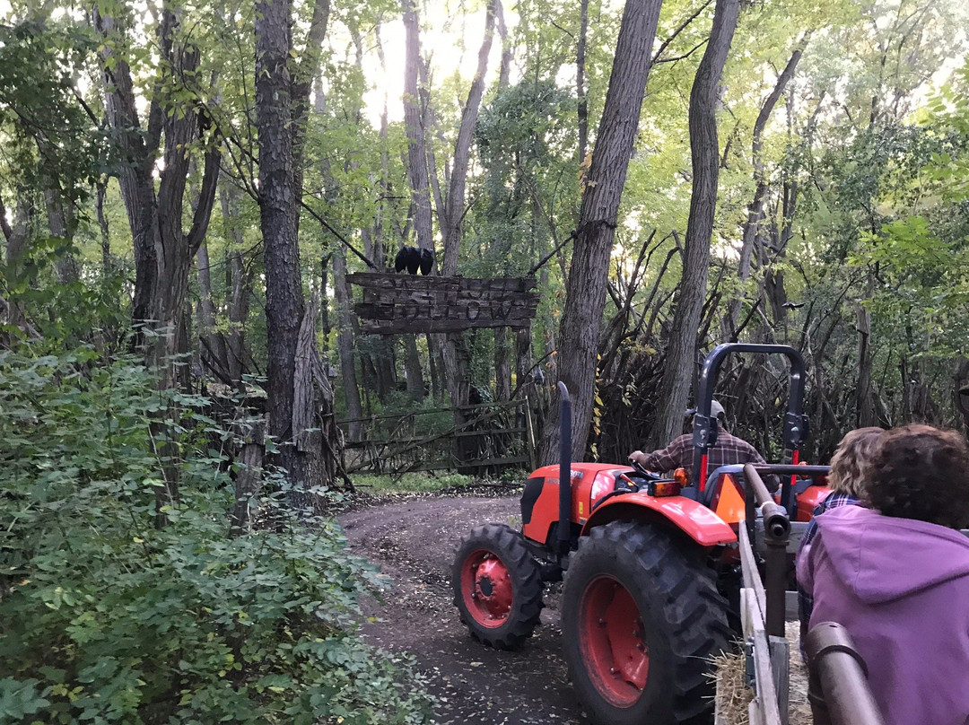 Powers Farm Market-Pittsford必去景点