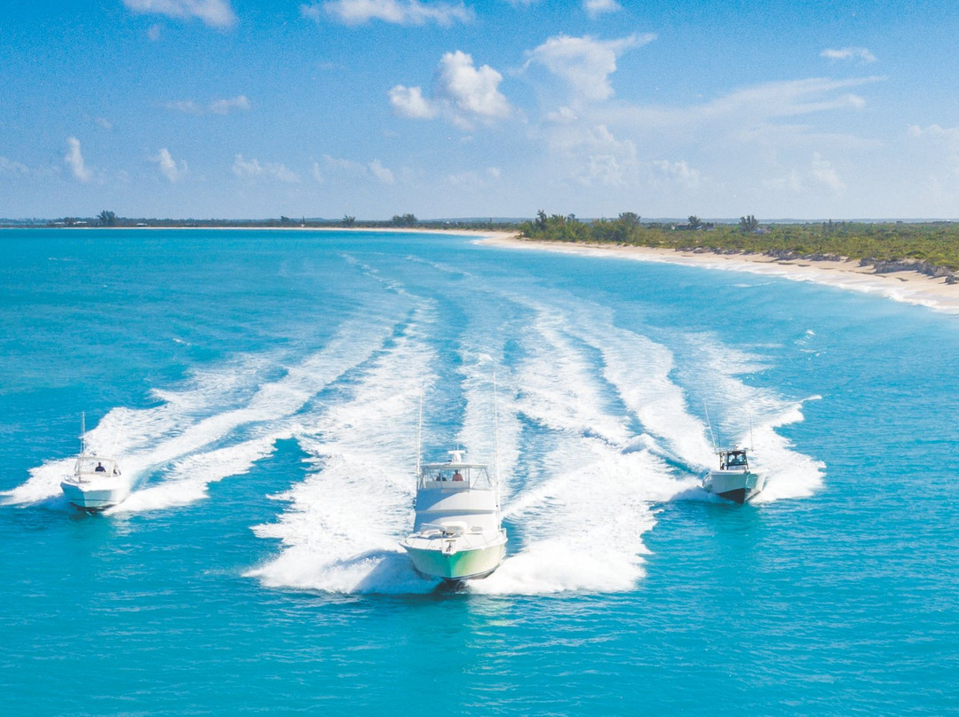 Panoply Sport Fishing & Luxury Charters-普罗维登西亚莱斯必去景点