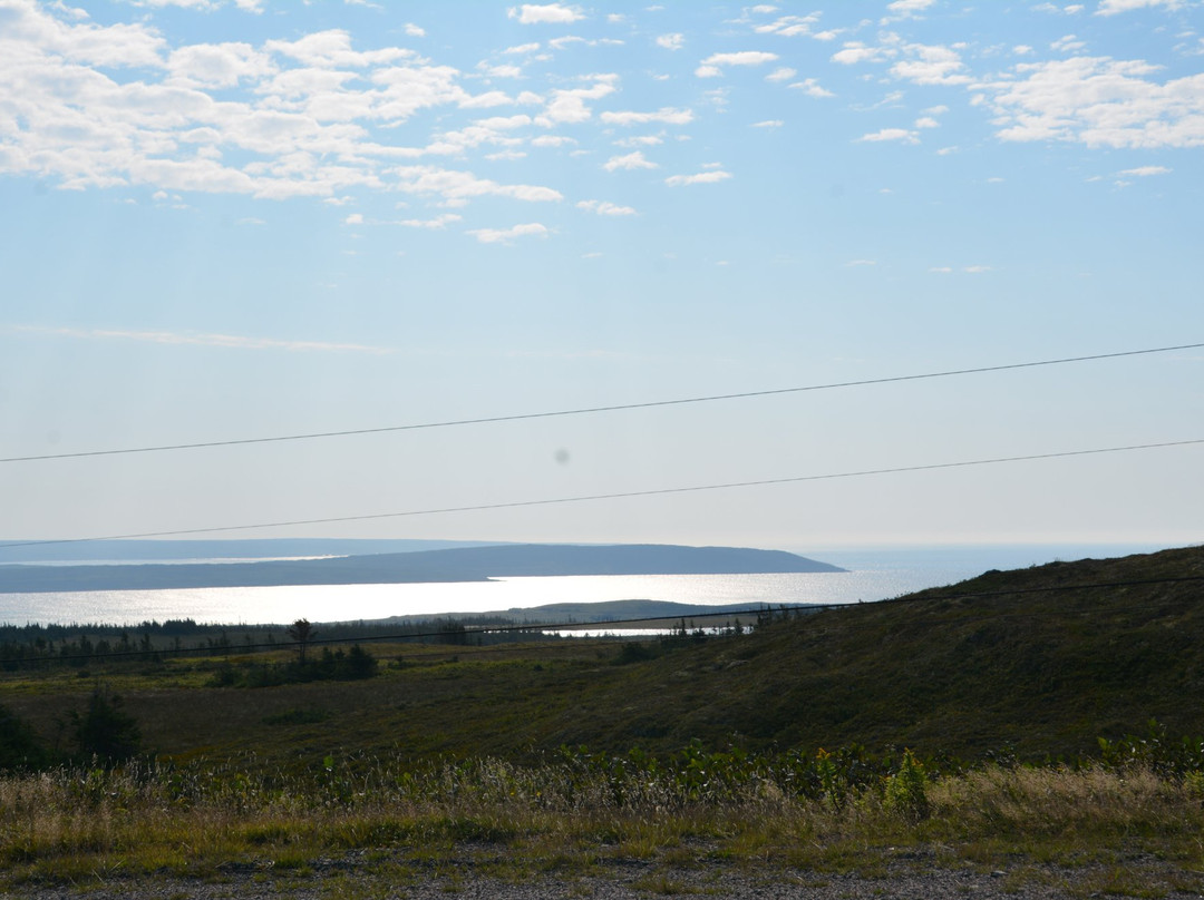 Edge of Avalon Interpretive Centre景点图片