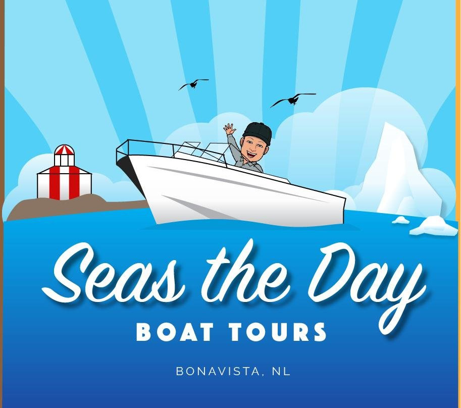 Seas the Day Boat Tours景点图片