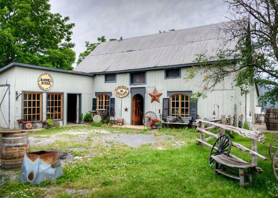 Black Prince Winery & Canadian Cellars offering Wood-Fired Pizza & Disc Golf景点图片