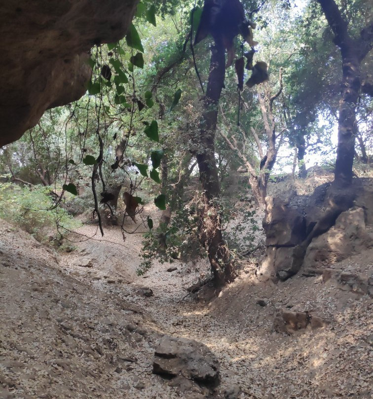 Pa'ar Cave景点图片