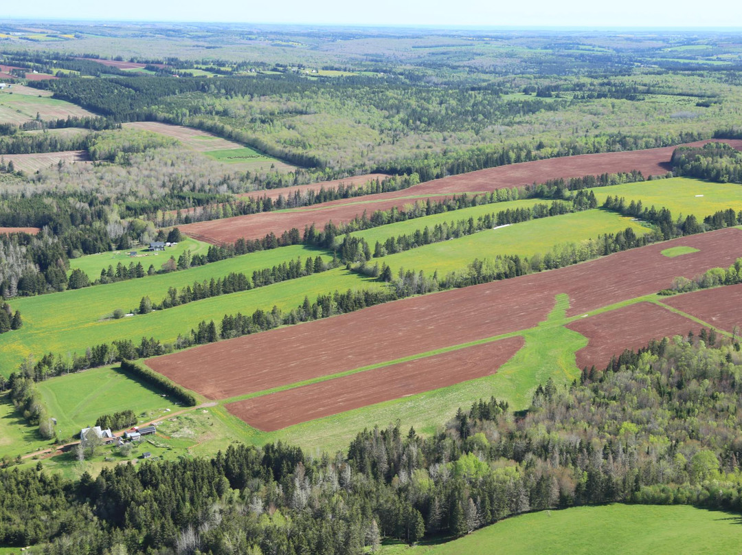PEI Balloon Adventures-Hunter River必去景点
