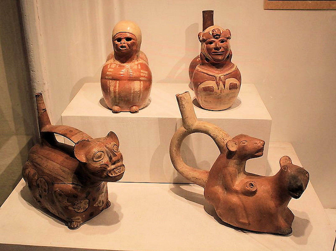 Museo Inka景点图片