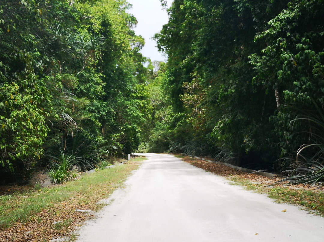 Christmas Island National Park-圣诞岛必去景点