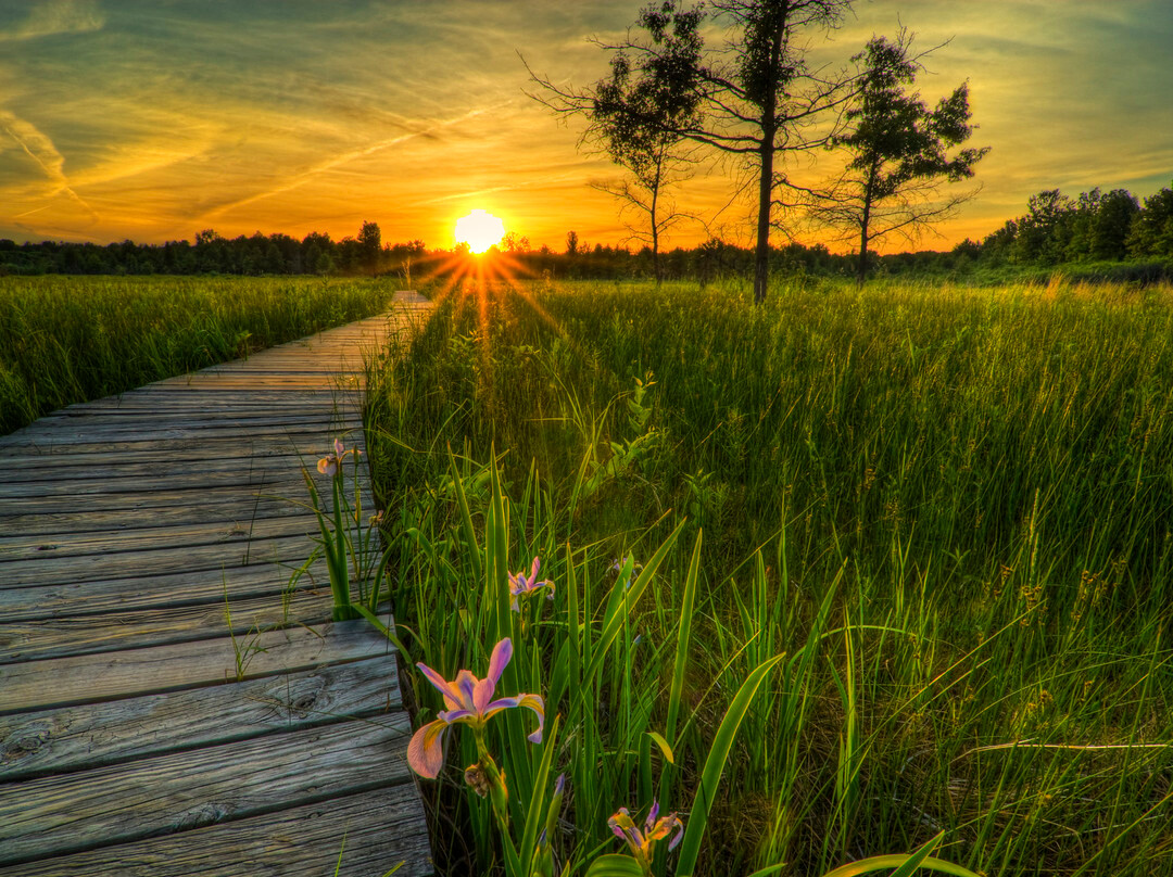 Irwin Prairie State Nature Preserve