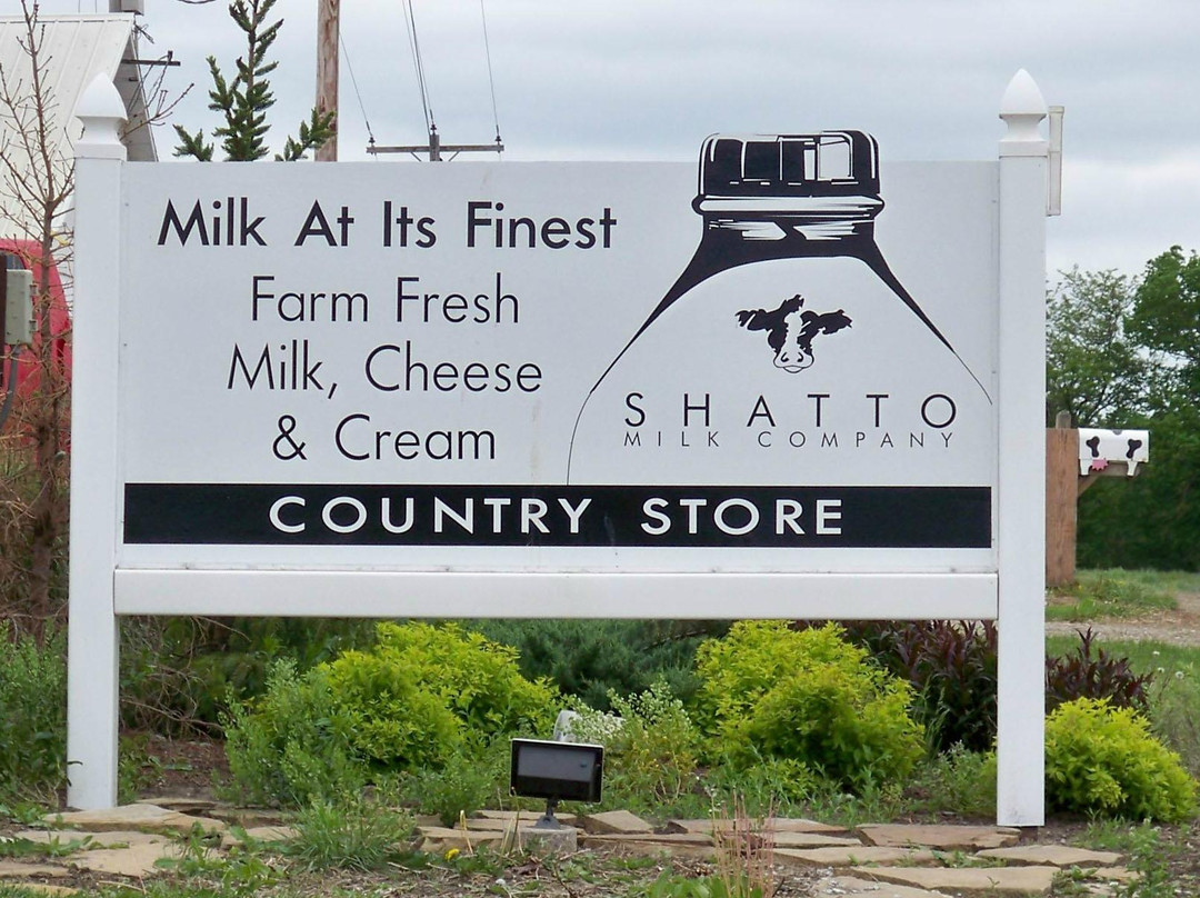 Shatto Dairy景点图片