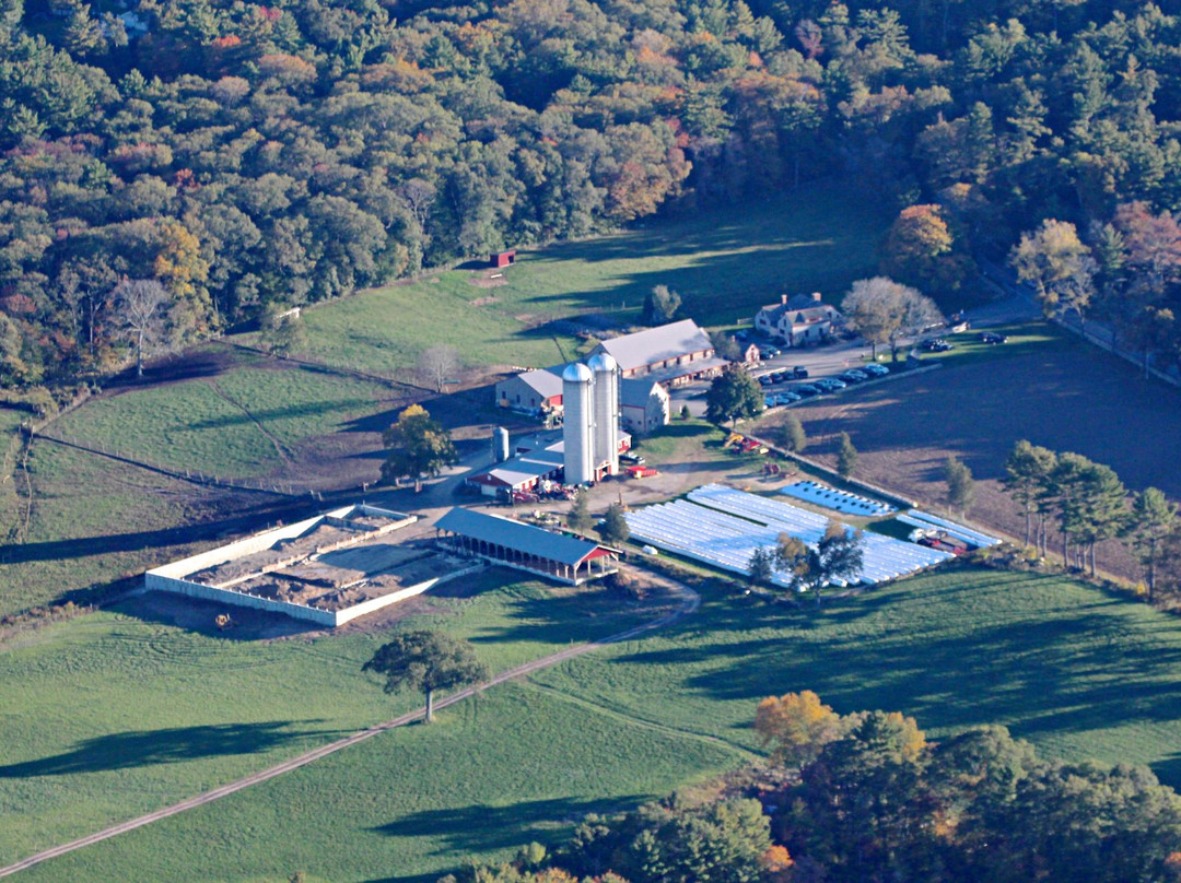 Hornstra Farms景点图片