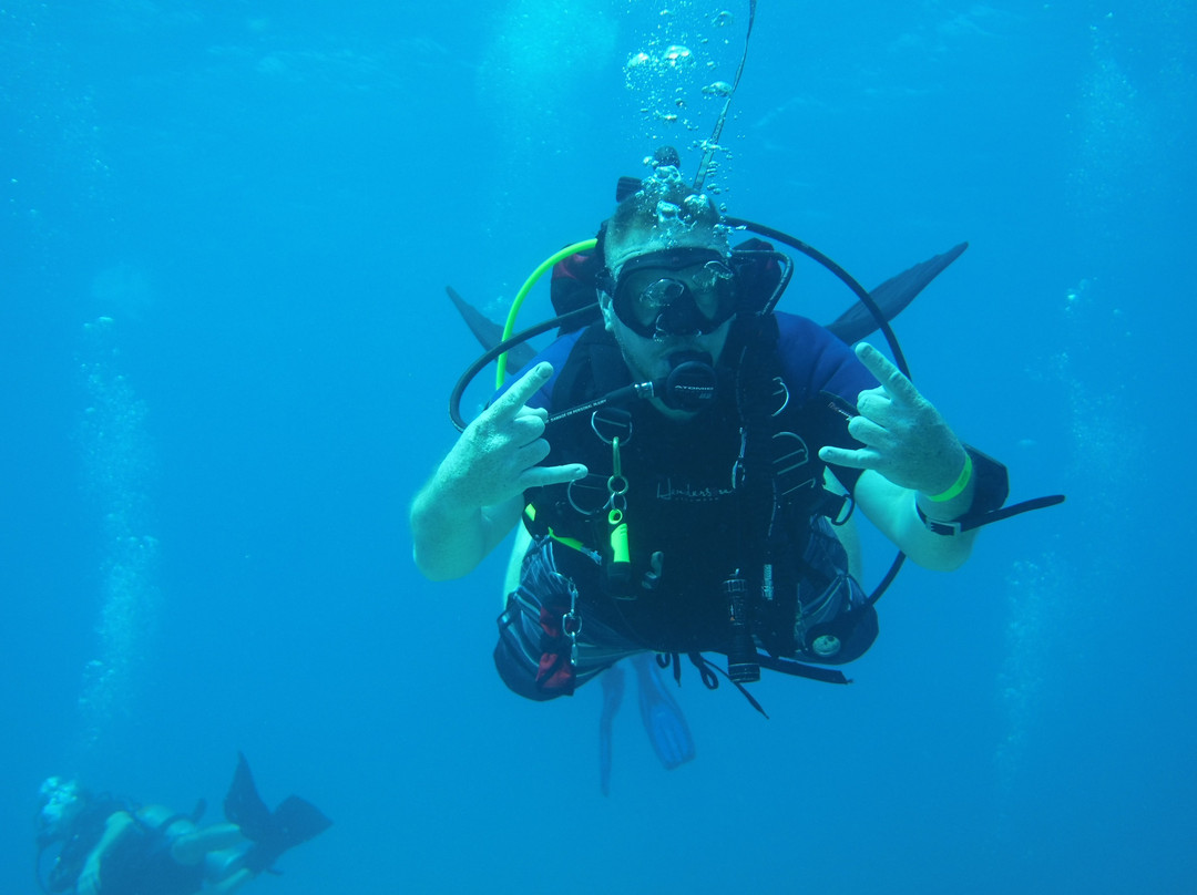 Gaspar's Dive N Board-恩格尔伍德必去景点