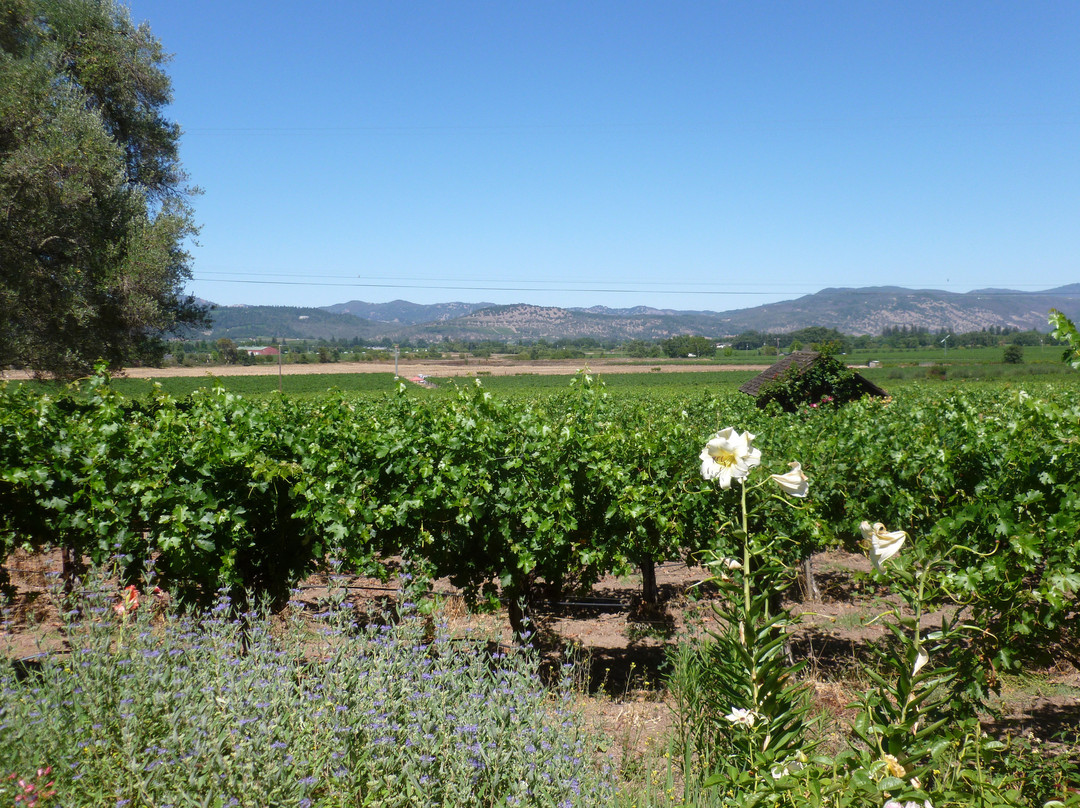 Tres Sabores Winery景点图片