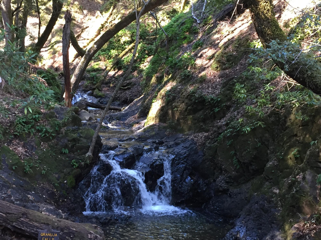Uvas Canyon County Park