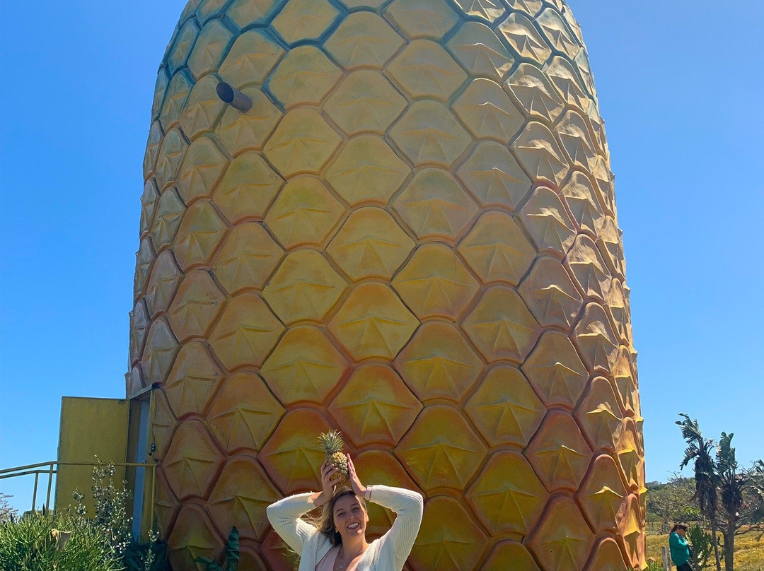 The Big Pineapple景点图片