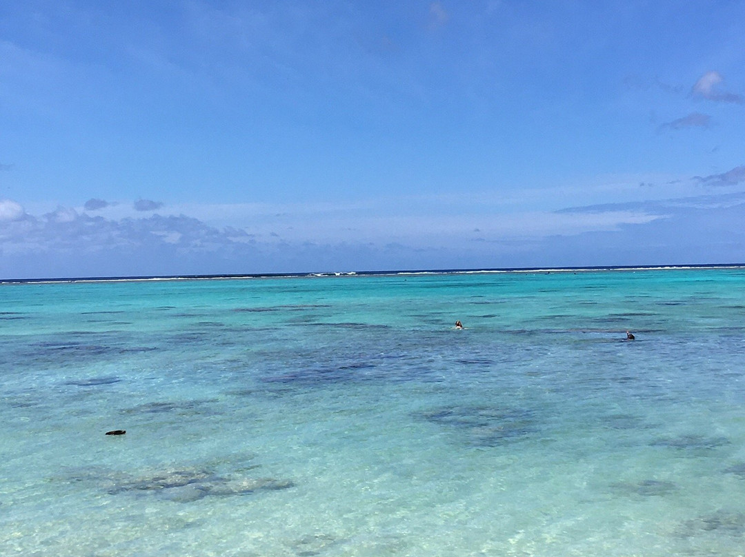 Tikioki Marine Reserve-拉罗汤加必去景点