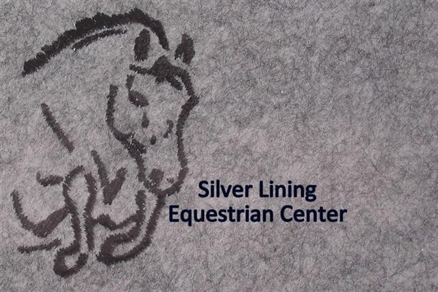 Silver Lining Equestrian Center-欧佩莱卡必去景点