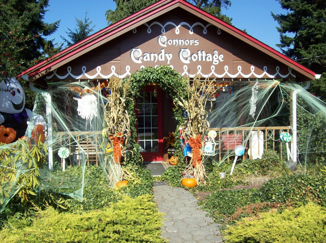 Rochester旅游攻略图片