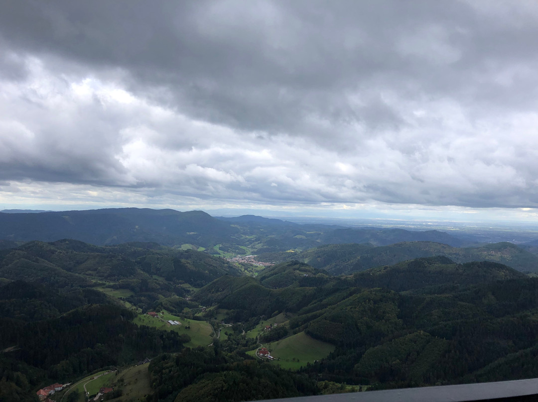 Buchkopfturm Oppenau景点图片