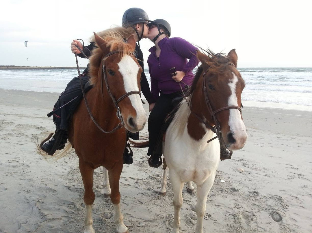 Newport Equestrian-米德尔敦必去景点