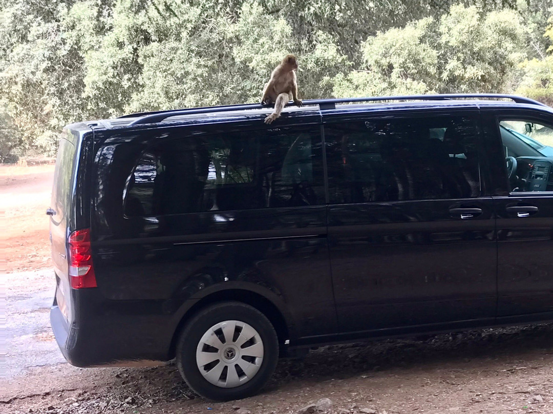 Atlas Mountain Tours-伊姆利勒必去景点