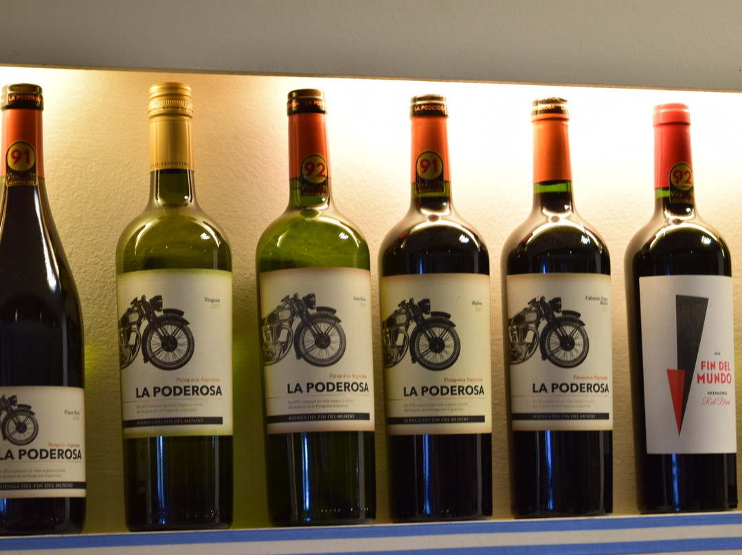 San Patricio del Chanar旅游景点-Bodega Del Fin Del Mundo