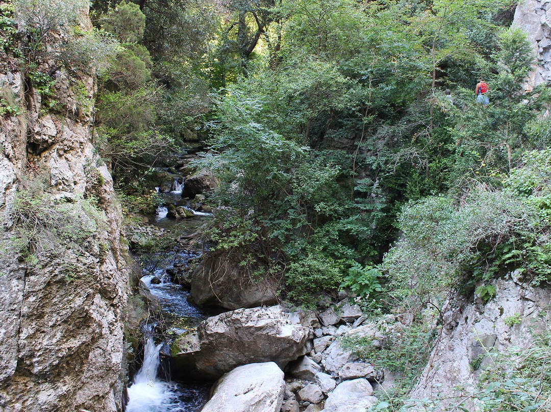 Gorges de Saint-Jaume景点图片