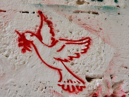 Israel Reiseleiter Ushi Engel - Day Tours-特拉维夫必去景点