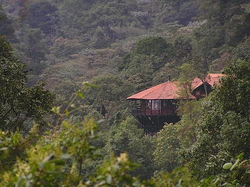 Parque Natural Chicaque景点图片