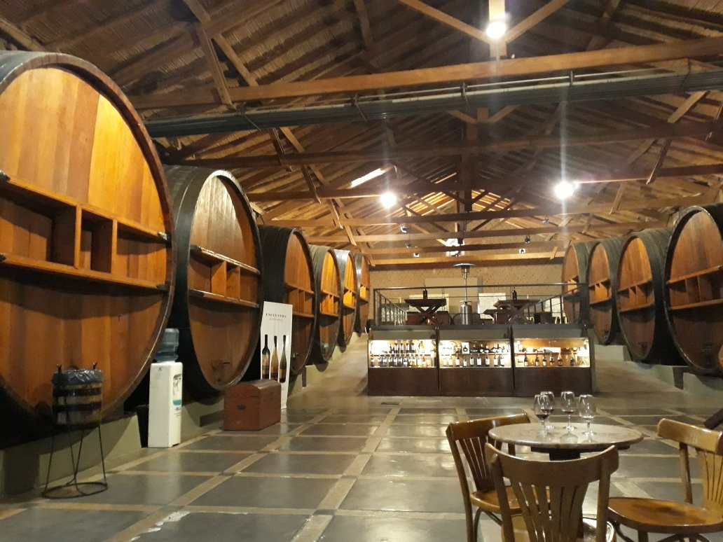 Museo del vino景点图片